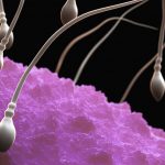 Natural ways to boost your fertility