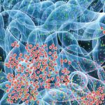 Bugs in the gut