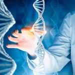 The importance of vitamin B12