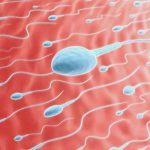 Six ways to reduce xenoestrogen exposure