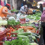 Adopting a plant-based diet has multiple benefits