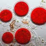 Astaxanthin is renowned for its powerful antioxidant qualities