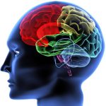 Are Covid-19 and Alzheimer’s disease linked?