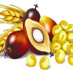 Could vitamin E help promote longevity?