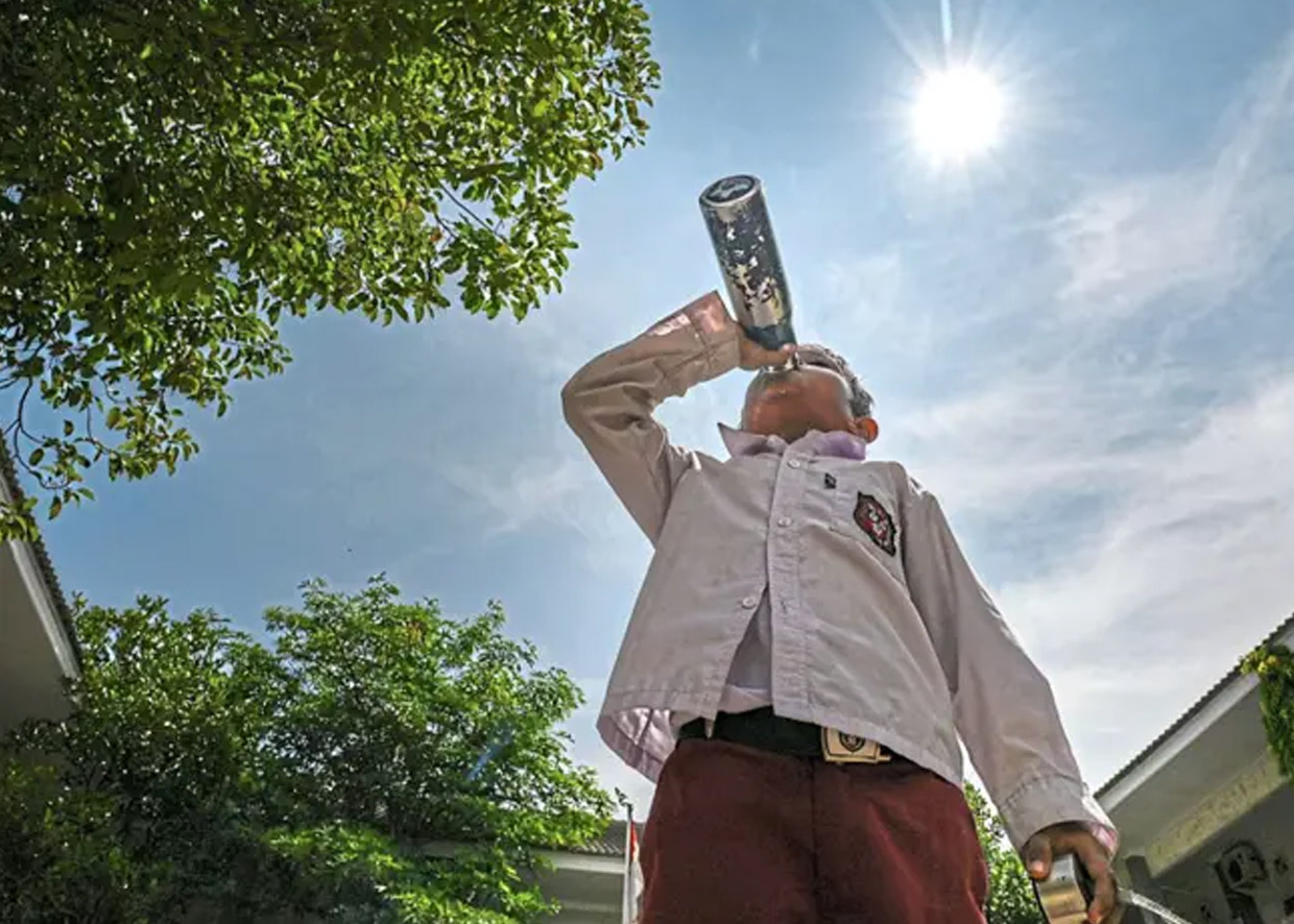 Read more about the article Preparing for a warmer world
