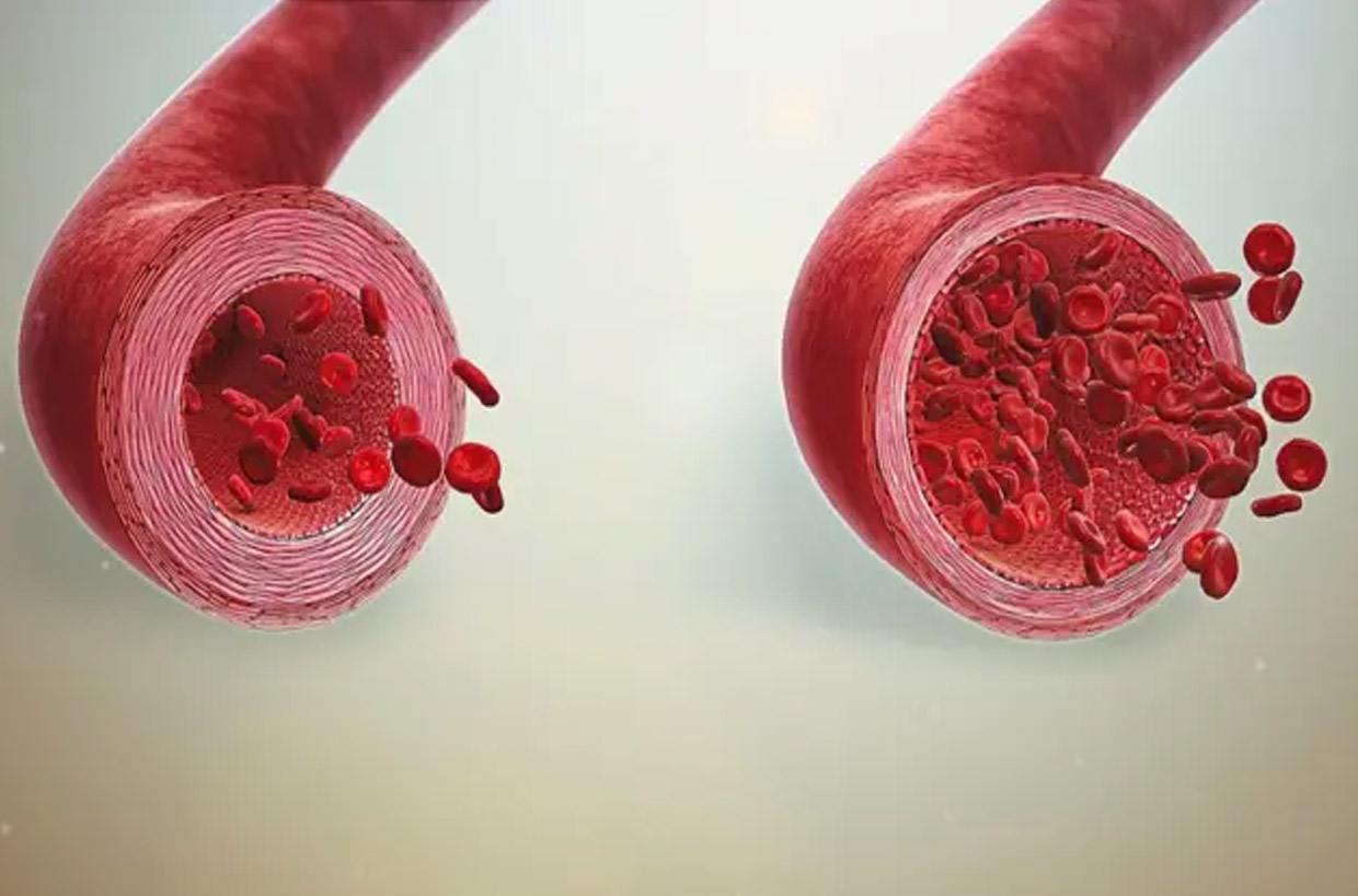 You are currently viewing Why nitric oxide is important for our health